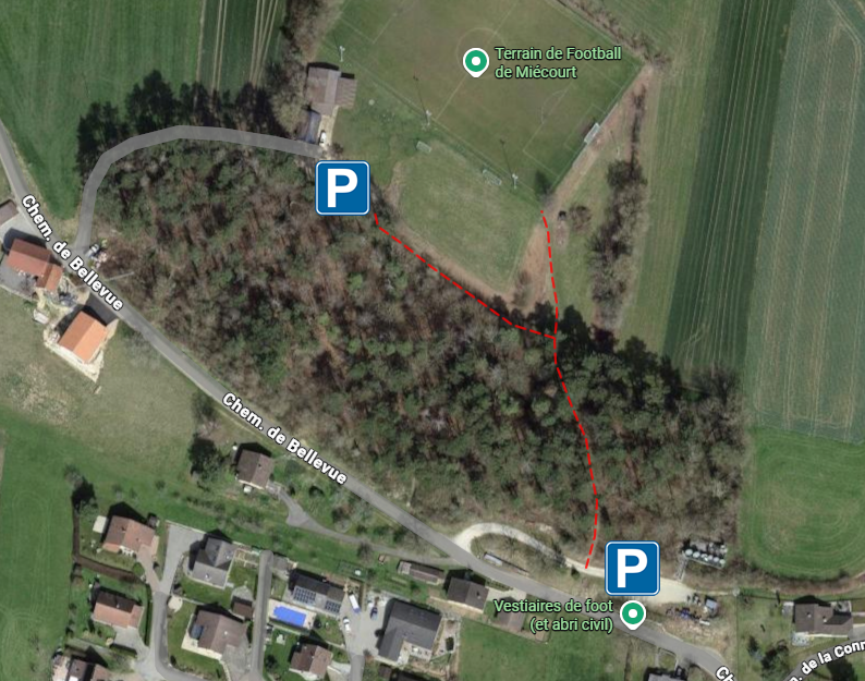 Plan 1